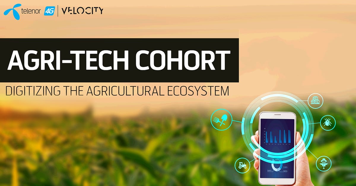 Telenor Velocity is Uplifting Pakistani Agri Sector Through Technological Intervention