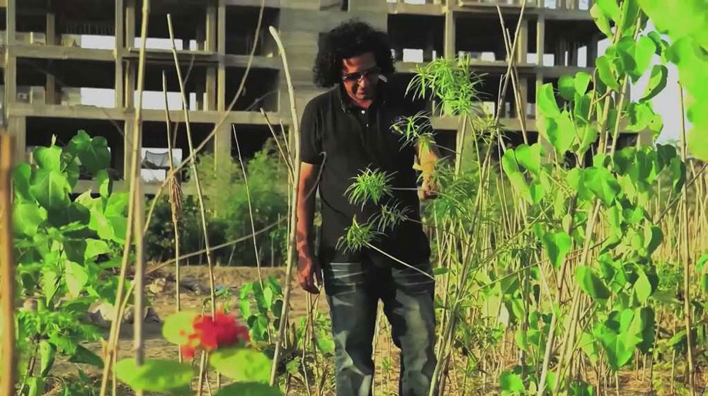 Karachi’s ‘Forest Man’ Wants to Return The Lost Greenery of The City