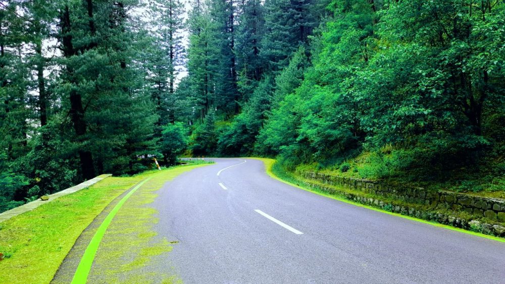 KP Govt Fines Restaurants and Tourists for Littering in Galiyat