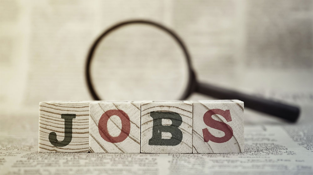 One Million Online Job Applications Received Via Punjab Job Portal