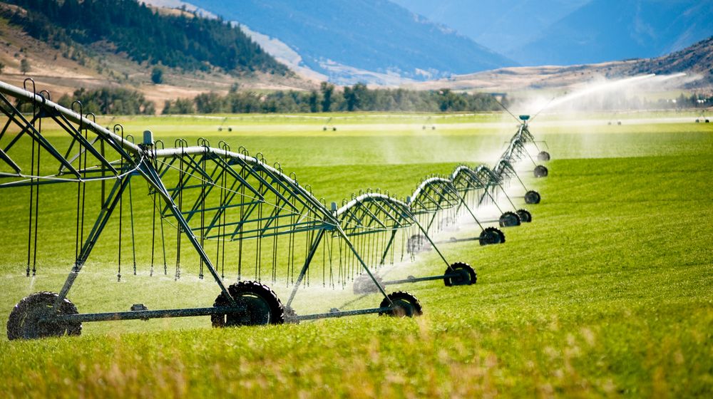 Watering Pakistan’s Future with High-Efficiency Irrigation Systems