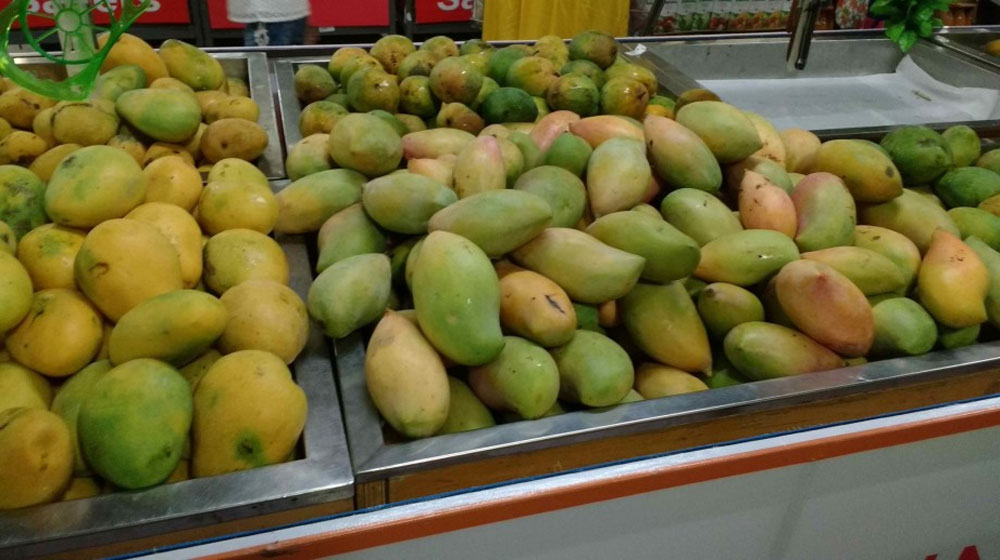 Govt to Setup Mango Cold Storage in Sindh for Exports