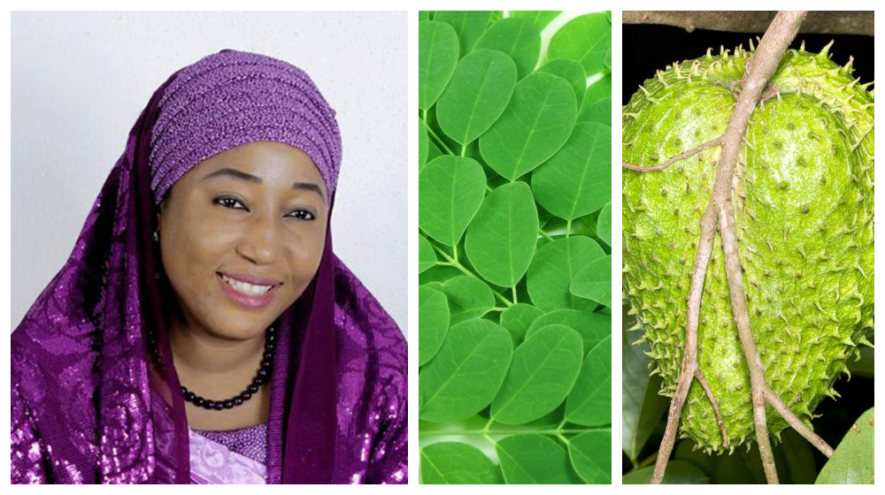 Nigerian Scientist Develops Cancer Cure from Rare African Plants