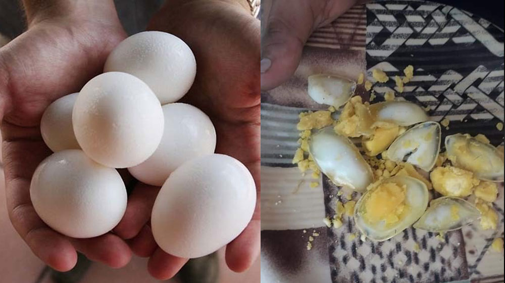 Four People Arrested for Selling ‘Plastic Eggs’ in Karachi