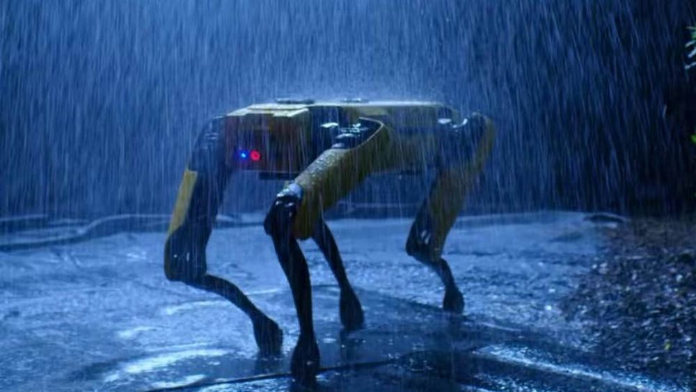 Hyundai Buys Boston Dynamics – The Company That Made The Famous Robot Dogs