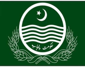 punjab local government