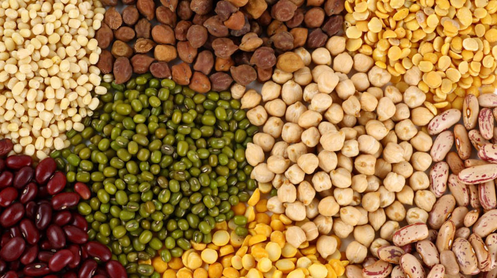 Pakistan’s Pulses Import Reached All-Time High of $946 Million in FY23