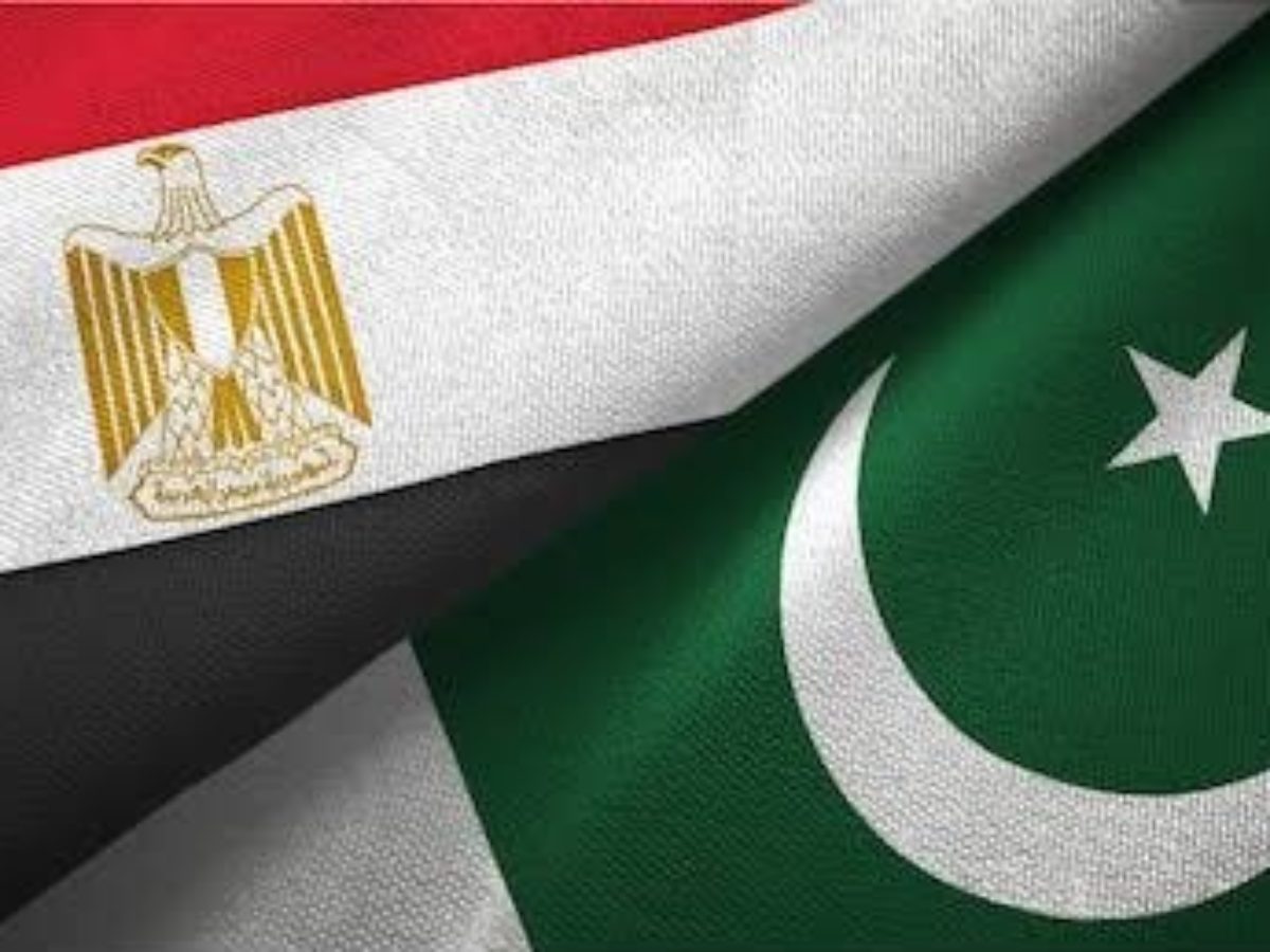 Pakistan and Egypt Agree to Increase Cooperation in IT & Telecom
