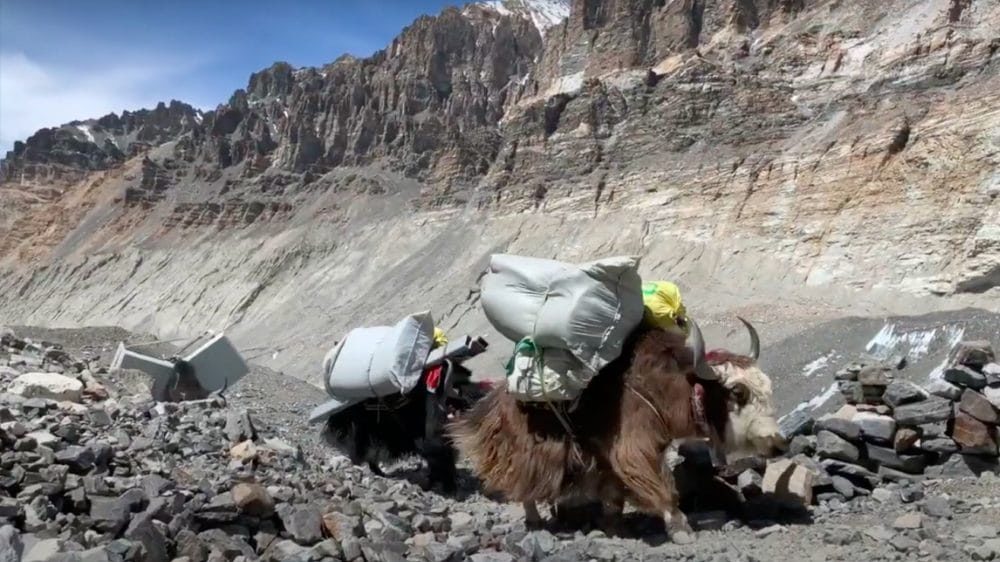 Huawei Installs 5G Tower on Mount Everest Using Yaks [Images]
