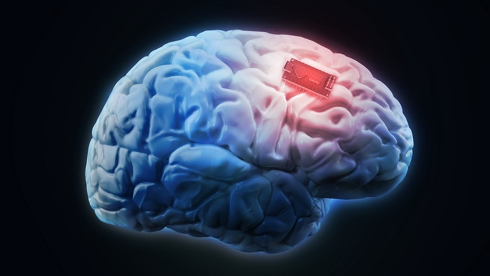 MIT Creates Artificial Brain Chips
