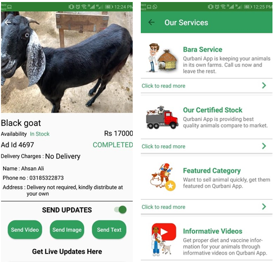 Qurbani & Covid: This App Covers All Your Livestock Needs This Eid