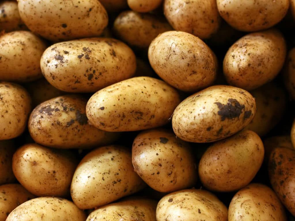 Pakistan to Ban Export of Potatoes for Rest of the Year