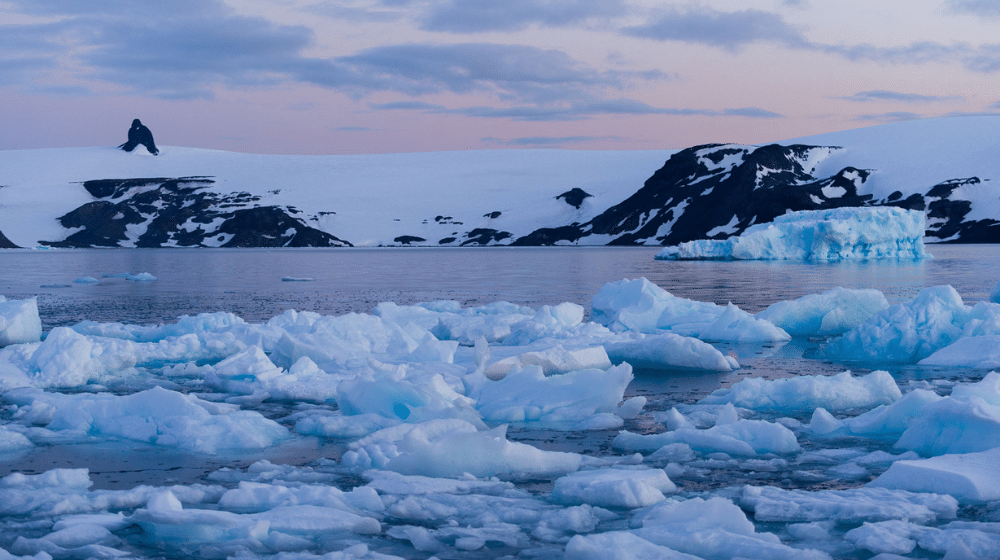 Pakistan Wants to Restart its Antarctic Program