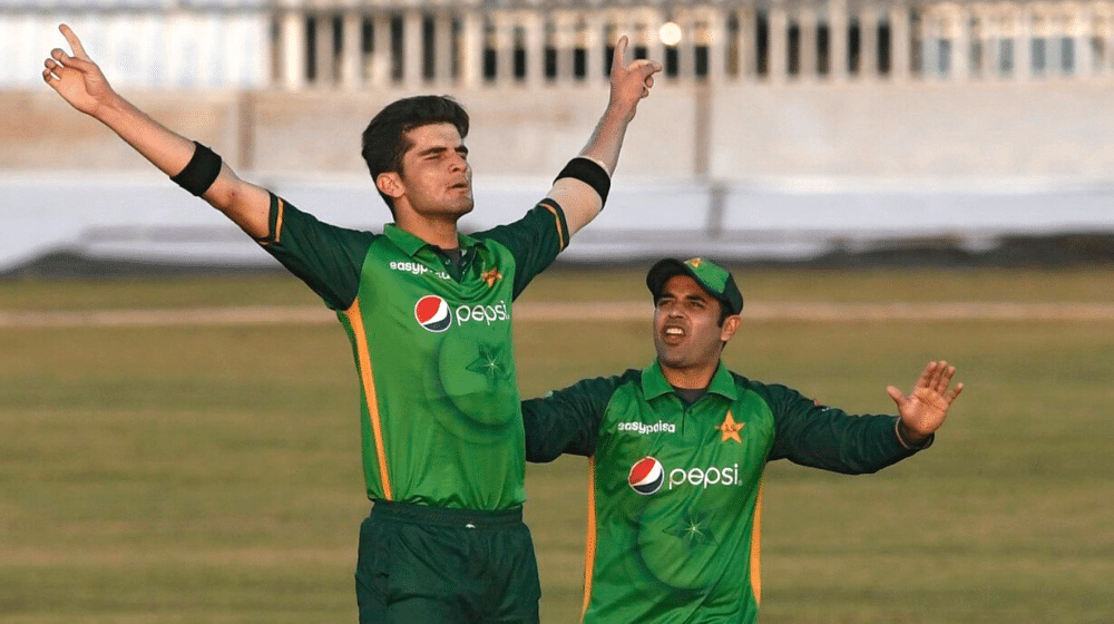 Shaheen Afridi Makes Another Record, Takes 15 Wickets in 3 Matches