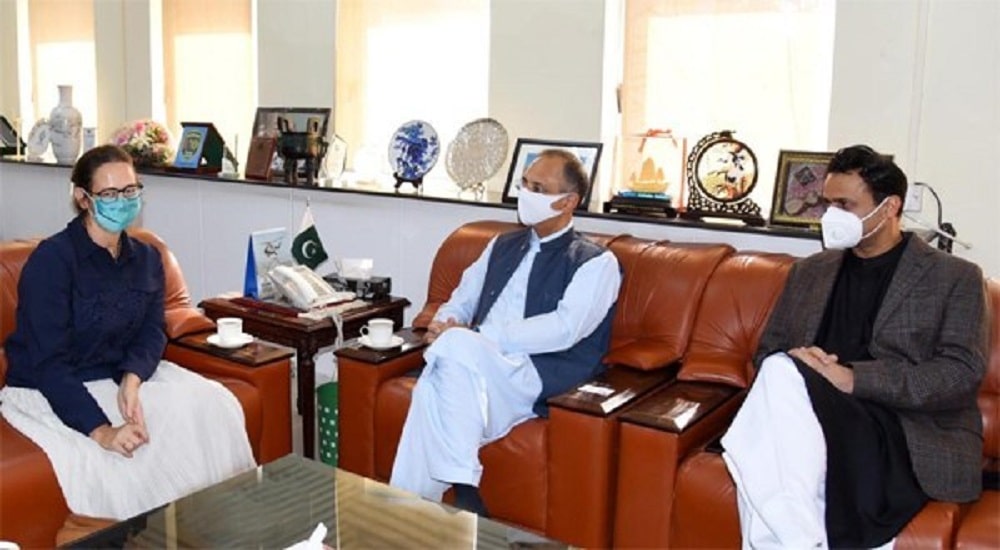 Danish Ambassador Meets Energy Minister to Explore Investment Opportunities in Pakistan