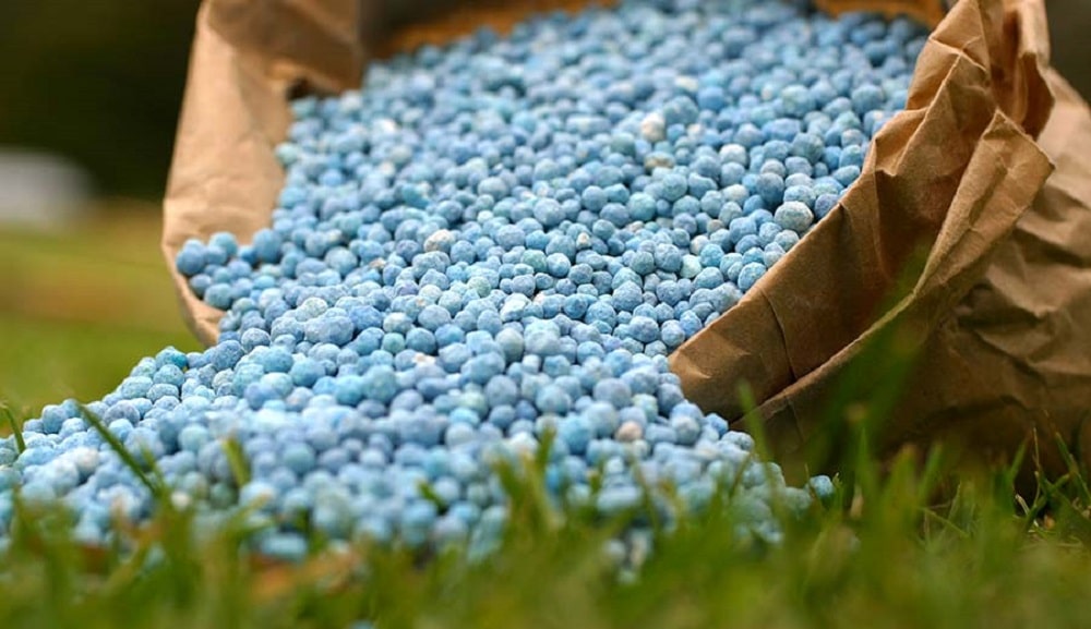 Fertilizer Crackdown Cause Price Decline By Rs. 600 Per Bag: Too Little, Too Late?