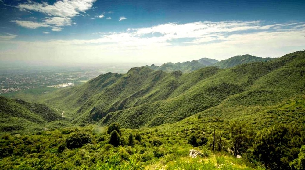 Hikers Asked to Help Expand Margalla Hills’ Forest Cover