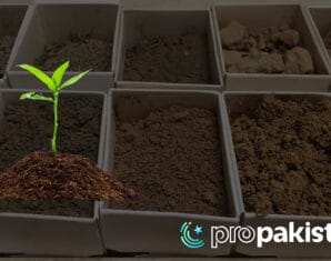 Soil Fertility | Agriculture | ProPakistani