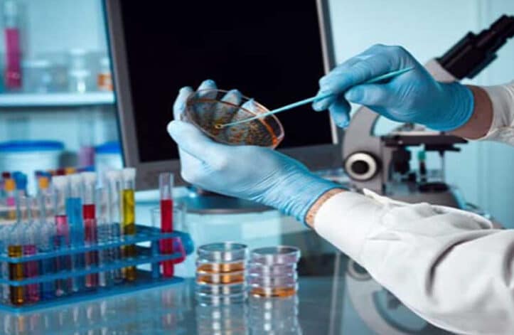 KSA | Research | Artificial Skin Breakthrough | ProPakistani