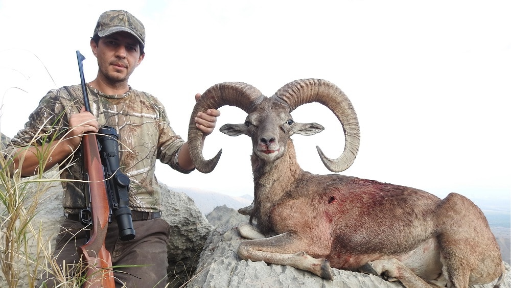 Permit Fee for Urial Trophy Hunting Set at $1.8 Million