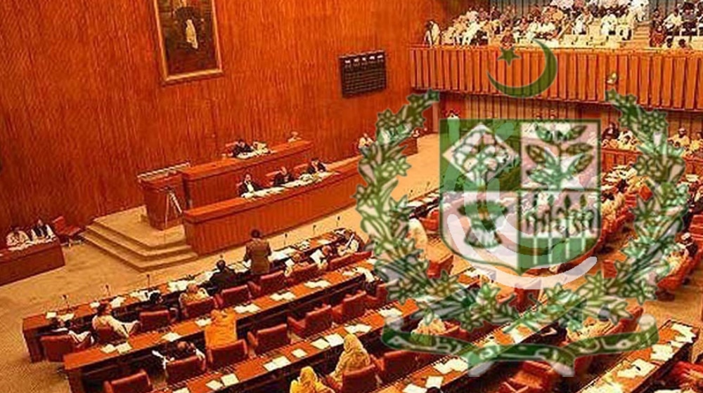 Senate Committee | ProPakistani