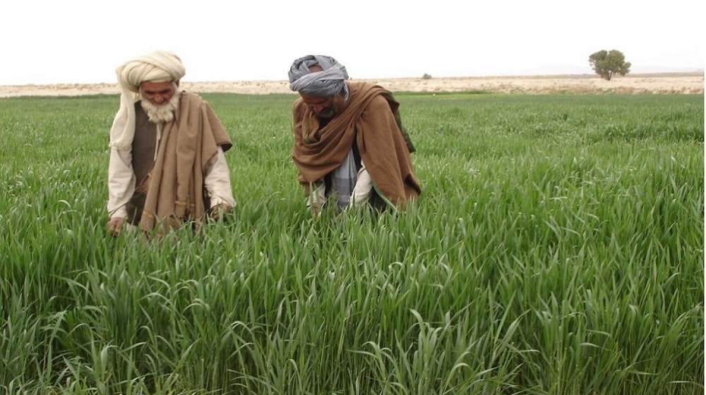 Farmers’ Association Decry Water Shortage in Sindh