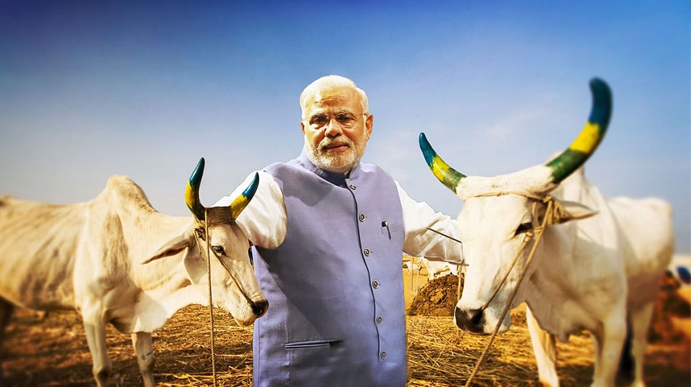 Cow Exam | Hindu Nationalism | ProPakistani