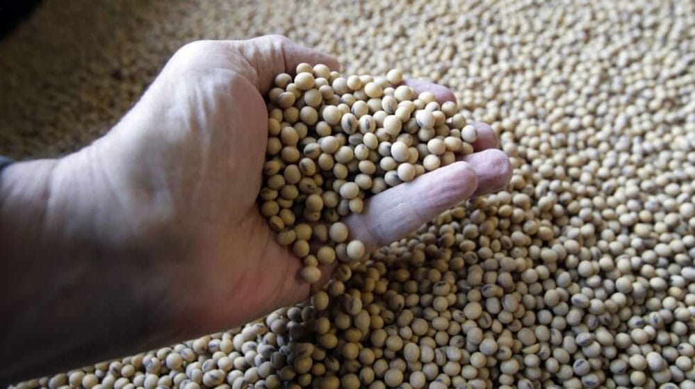 Over 200 Companies to Lose Licenses as Govt Aims to Regularize Seeds Business