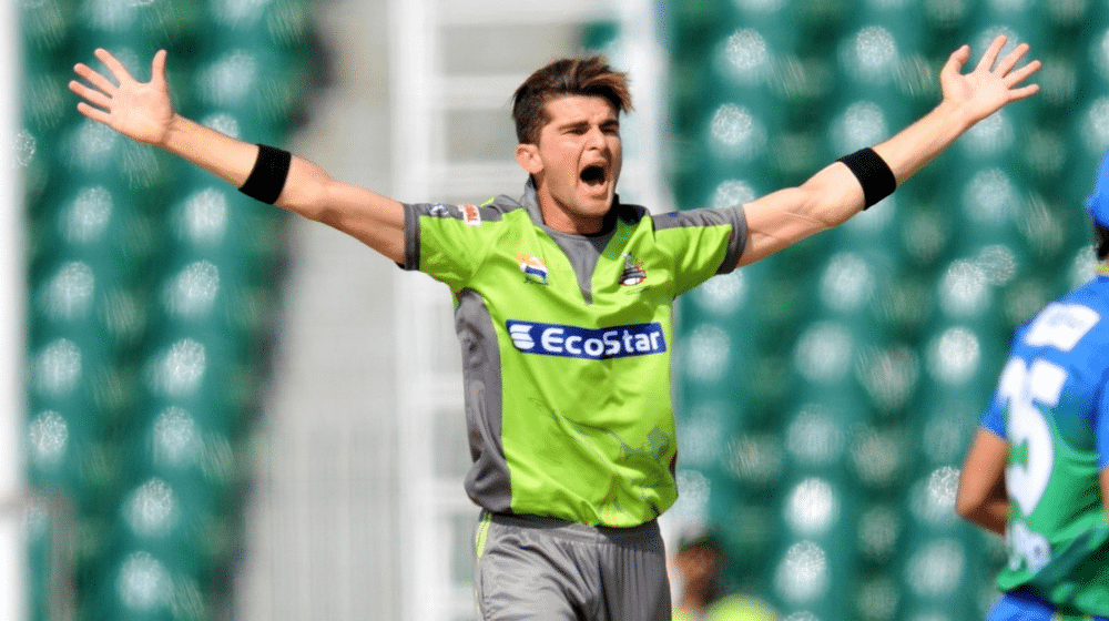 Shaheen Afridi Appointed Vice Captain of Lahore Qalandars