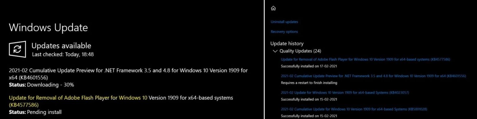 adobe flash update windows 10