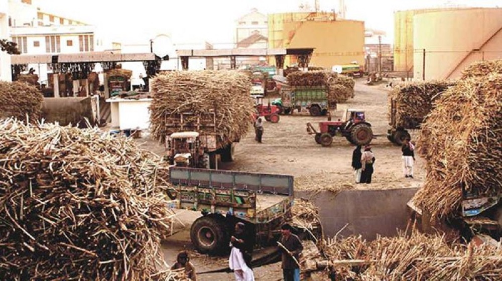 Govt to Expedite Installation of Cameras in Sugar Mills