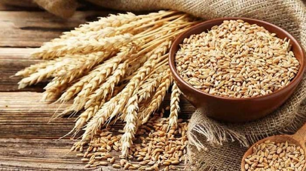 Govt Increases Minimum Support Price for Wheat