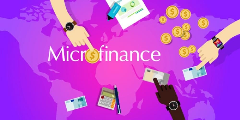Microfinance Sector Misses Major Targets In 2020