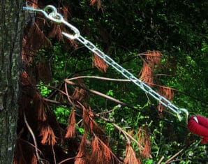Tree | Chain | Police | ProPakistani