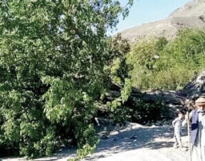 Chitral | Tree of Birds | ProPakistani