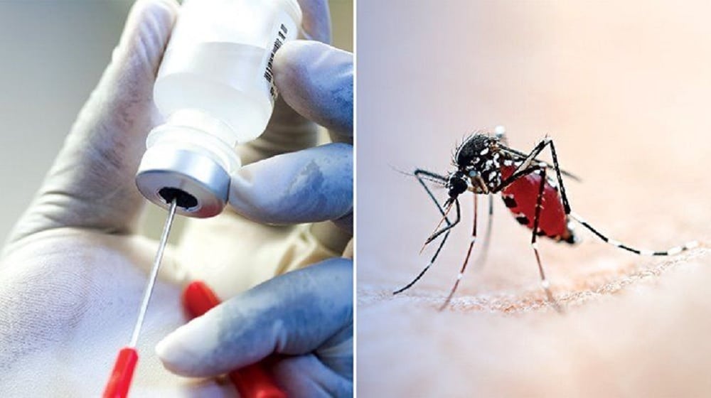 New Vaccine Highly Effective Against Malaria: Researchers