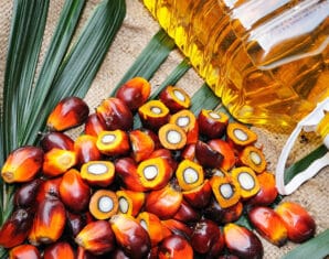 Palm Oil | ProPakistani