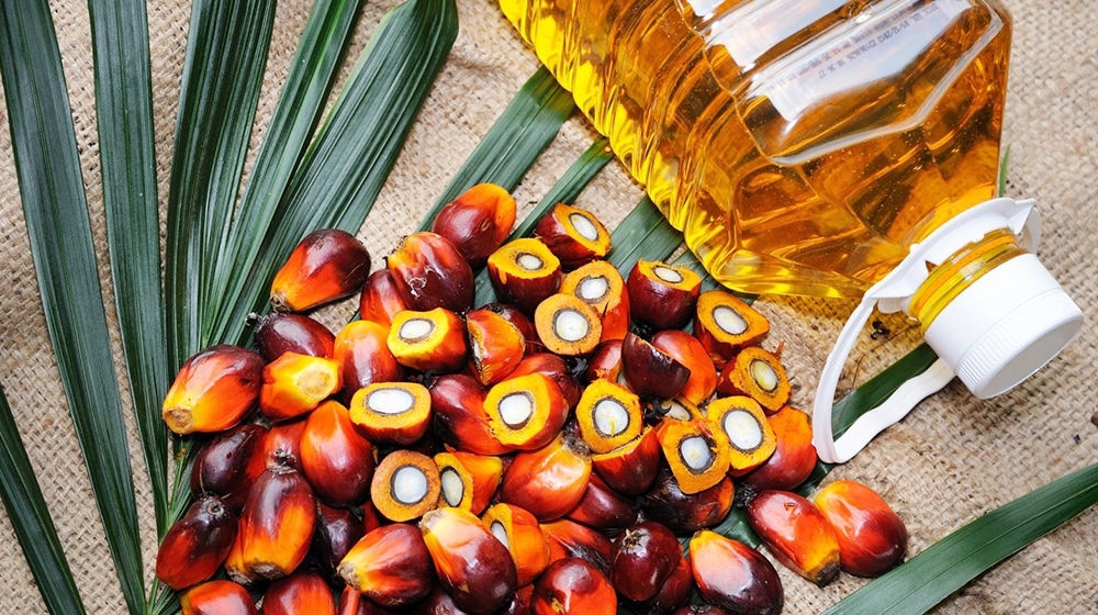 Palm Oil | ProPakistani