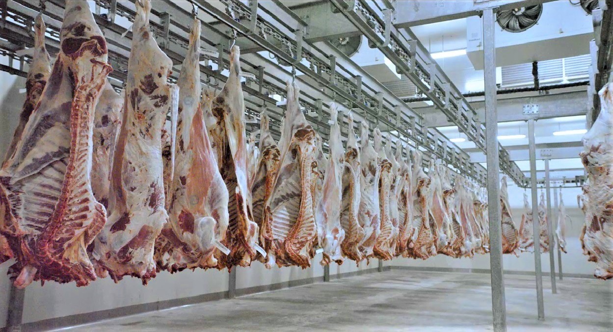 Pakistan’s Largest Meat Company to Export Meat to Malaysia