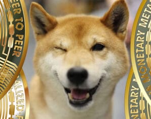 Doge | Memecoin | ProPakistani