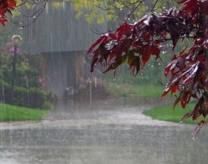 monsoon