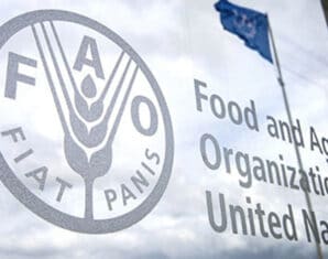 UN FAO | Food Prices | Decade In Review | ProPakistani