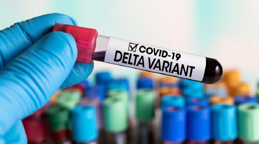 National Institute of Virology Discovers More Delta Variants in Karachi