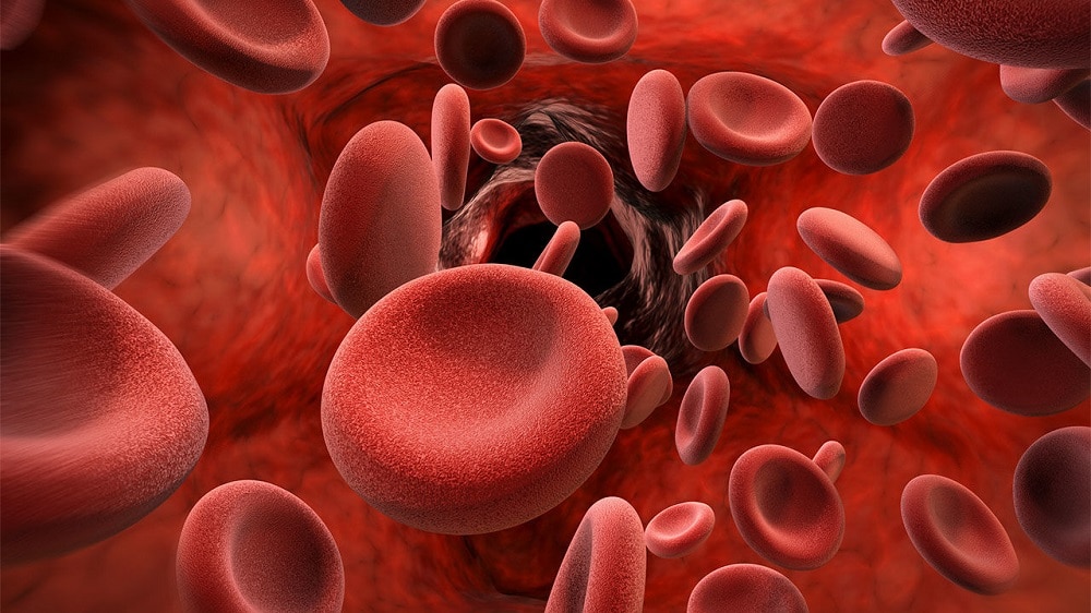Scientists Discover a New Set of Blood Groups