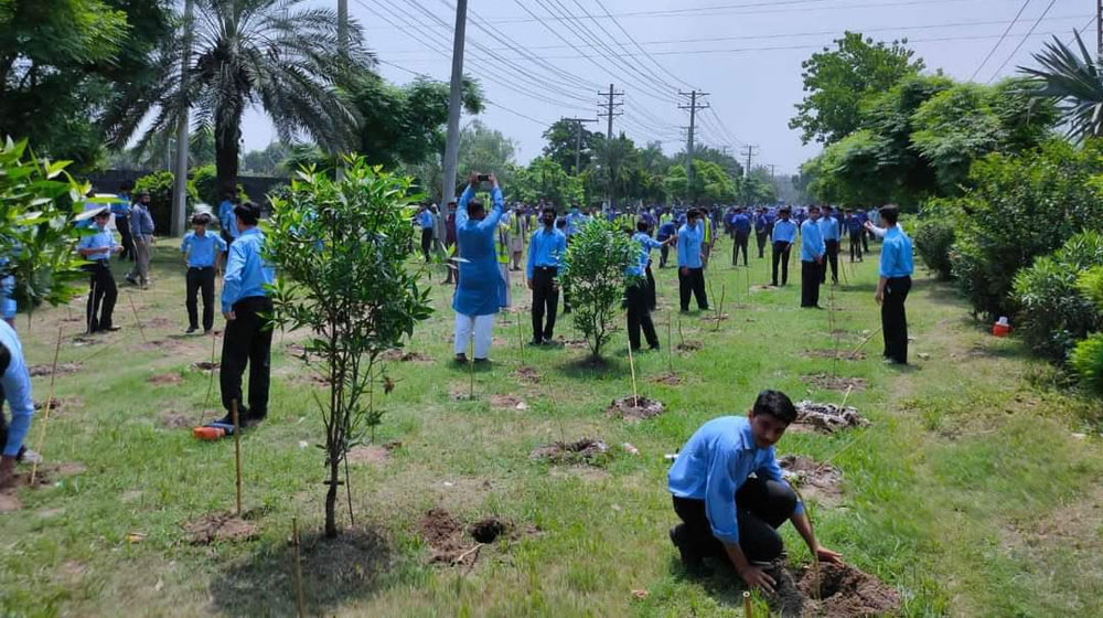 Pakistani Students Plant Over 50,000 Saplings in 40 Seconds to Break India’s Record