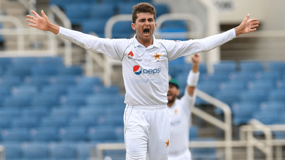 Shaheen Afridi Registers His Career-Best Bowling Figures in Test Cricket