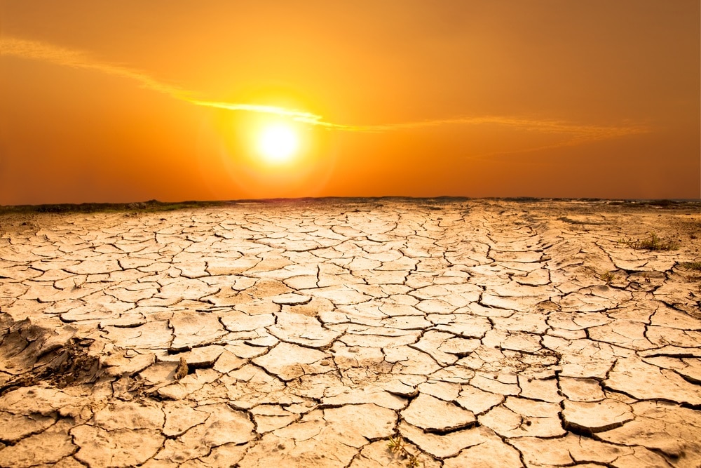 2023 Was the Hottest Year in Over 100,000 Years