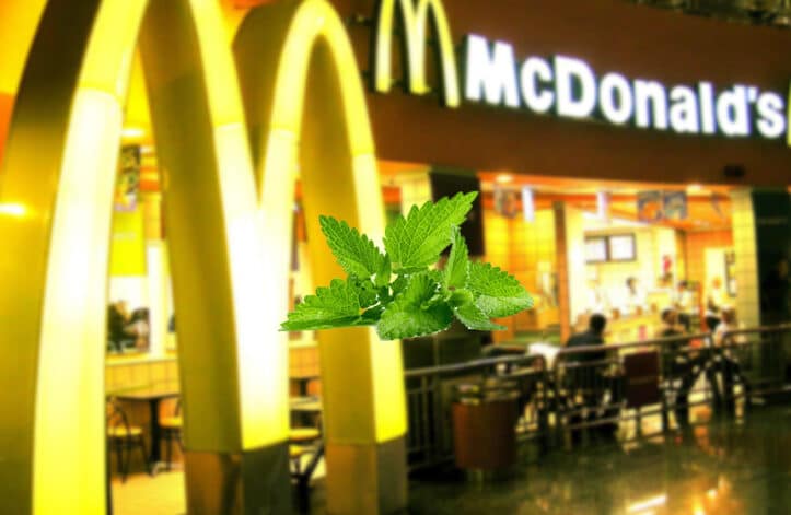 McDonald's Podina | ProPakistani