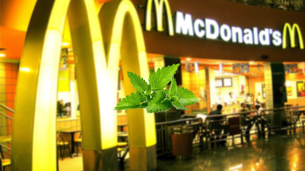 McDonald's Podina | ProPakistani