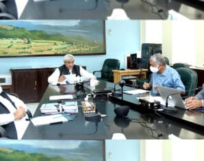 National Food Security & Research | Cotton | ProPakistani